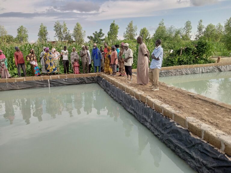 Installation des étangs piscicoles